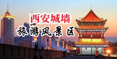 女人日逼高潮到免费视频中国陕西-西安城墙旅游风景区